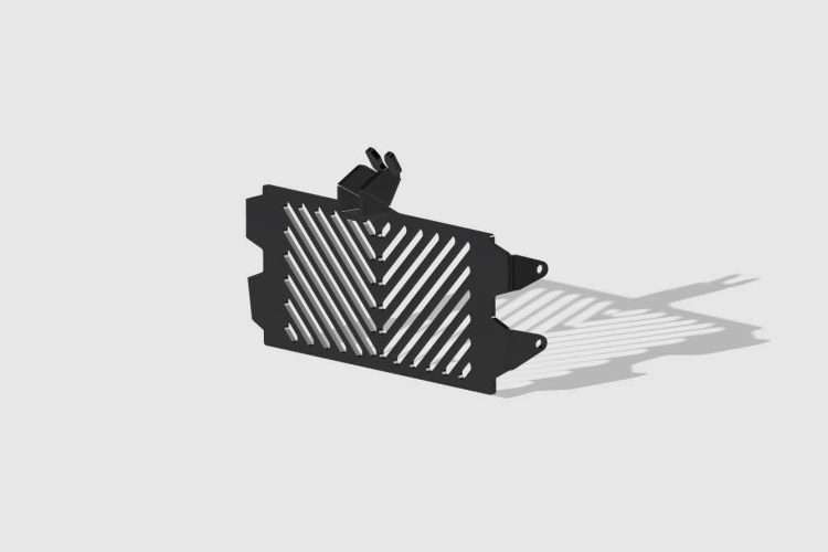 BMW R 12 G/S – Radiator Guards – Bild 1